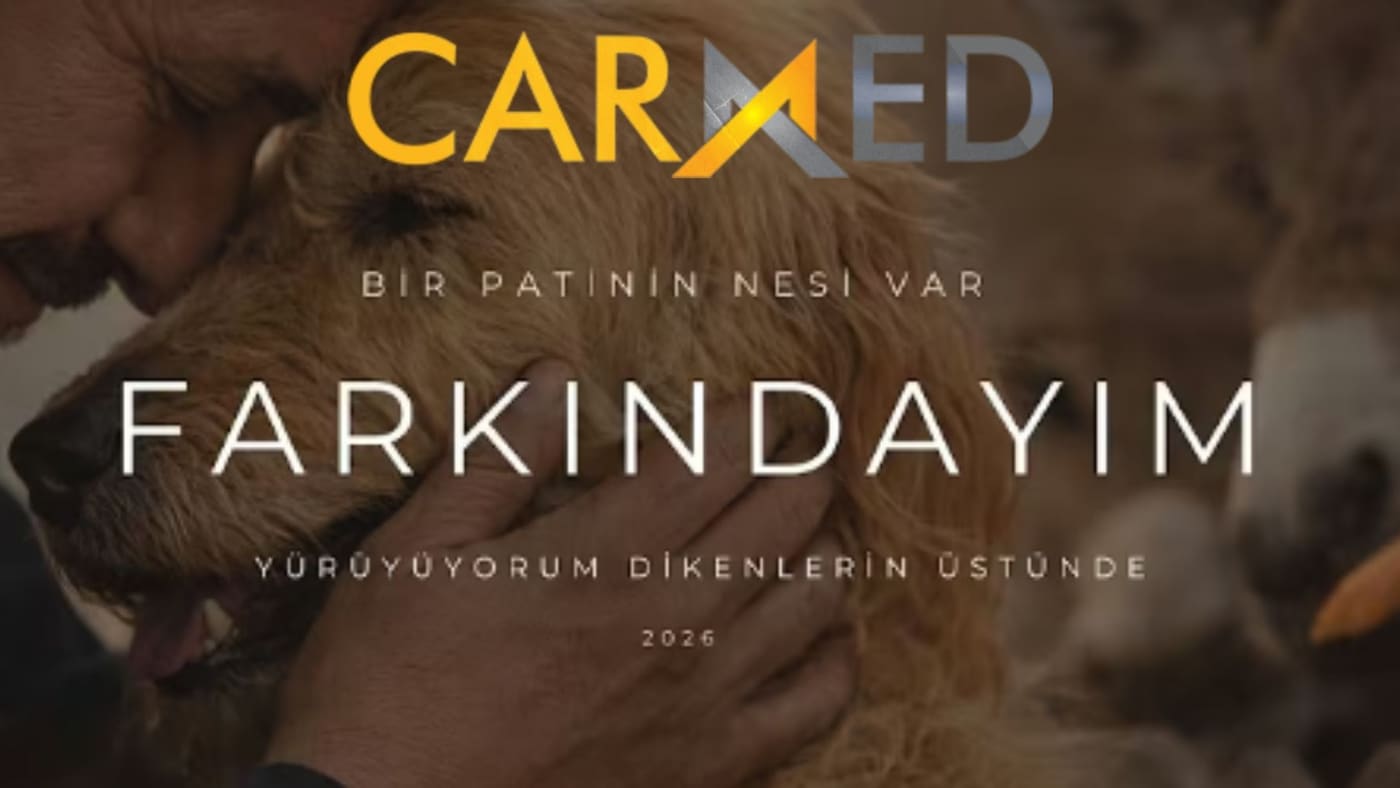 Bir Patinin Nesi Var – Farkındayım
